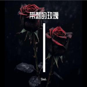 带刺的玫瑰