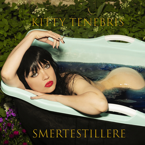 De Stemmer Bestemmer