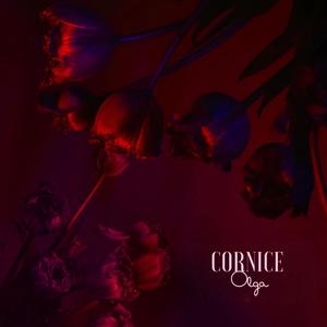 Cornice