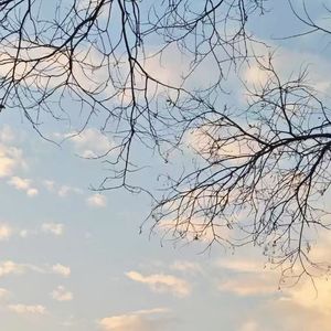 谁不是 恨你有 笑你无