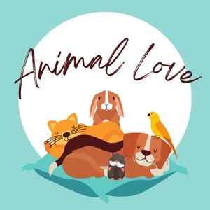 Animal Love (동물을 사랑해)