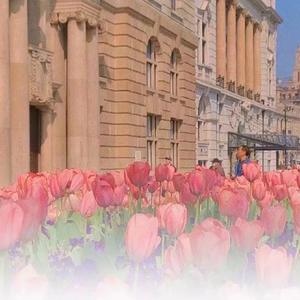 我们不是情侣（翻唱）