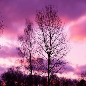 ambient-tension---really-dont-like-where-this-is-going