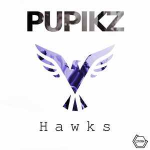 Hawks (Original Mix)