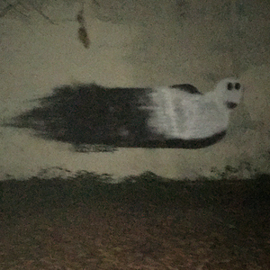 The Ghost