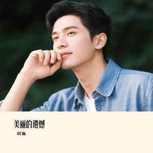 美丽的遗憾 (Cover 艾岩)