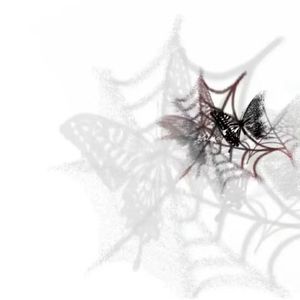 【有实力版】你的月亮我的心