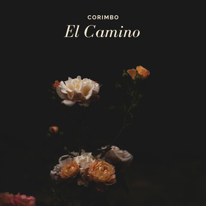 El Camino