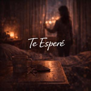 Te Esperé