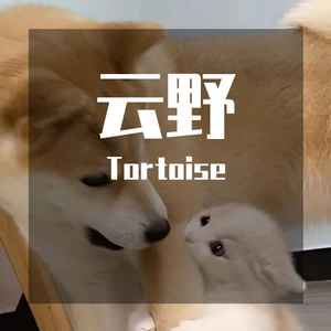 小野（It's not too late）