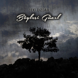 Böylesi Güzel