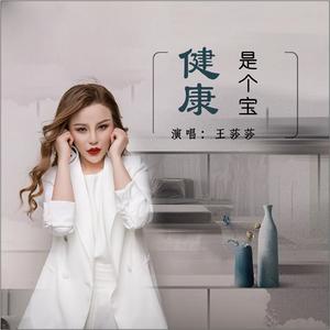 健康是个宝 (Dj何鹏版伴奏)