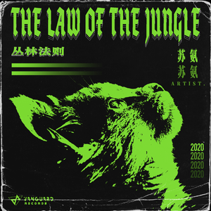 The Law Of The Jungle