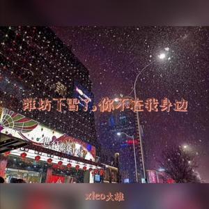 Froggy-潍坊下雪了，你不在我身边(Remix)