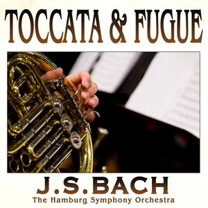 Toccata and Fugue in D Minor BWV 565