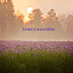 Inaccessible