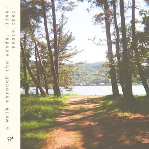 suimei. (live from a walk through the woods.)