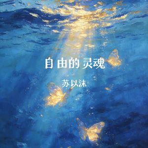 自由的灵魂（DJ版）