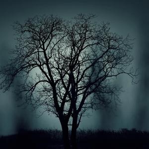 All Consuming Darkness