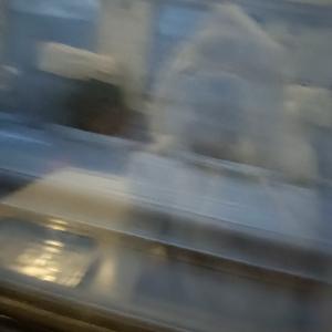 这世界终于癫了