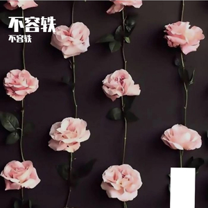 罗曼蒂克的生物化学分析（cover姚弛）（翻自 姚弛）