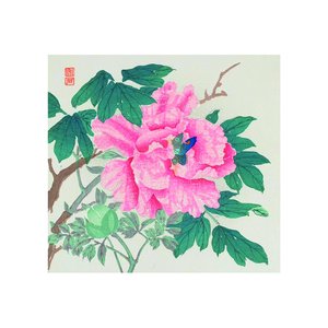 Hakusho
