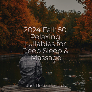 Soothing Soundscapes in Motion