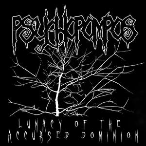 Drowning in Solitude