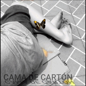 Cama de Cartón