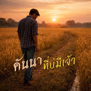 เพลง คันนา ที่บ่มีเจ้า