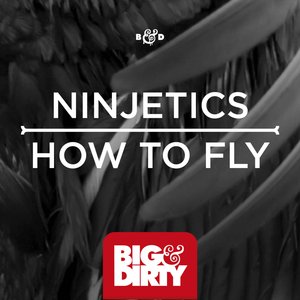 How To Fly (Original Mix)