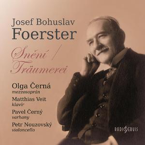 Vánoční koledy, Op. 80: No. 4. Zvěst andělská