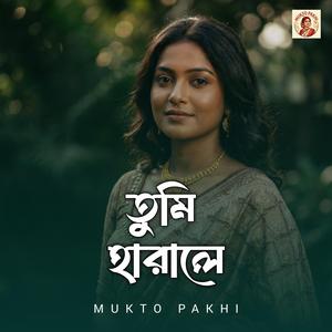 তুমি হারালে