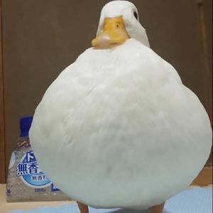 坏女孩