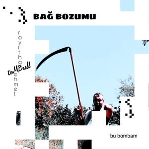 Bağ Bozumu