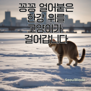 꽁꽁 얼어붙은 한강 위를 고양이가 걸어갑니다