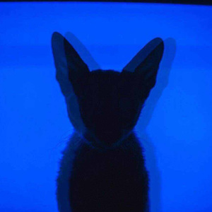 Zaniah-Coffee Bean(Remix)（Ukyosama remix）