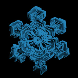 雪，你让我自卑