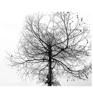 恋人未满-MMM.wav