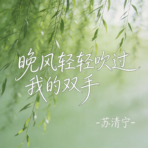 晚风轻轻吹过我的双手