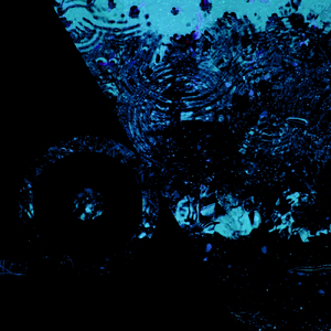 ツァイトガイスト