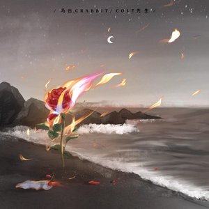 蓝心羽-寂寞烟火（释怀）（悔意 remix）