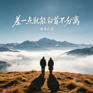 差一点就能白首不分离