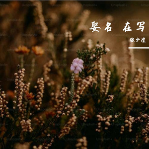 娶名 在写 情柔版、吻柔版 最吻集团