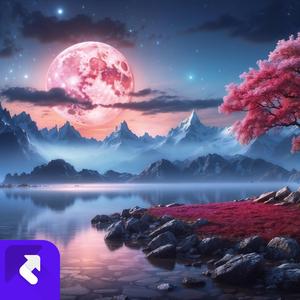 心浮一常 (现场)