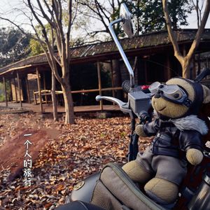 一个人的旅行