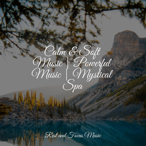 Lapping Tide Meditation