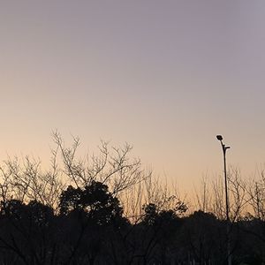 落叶归根(prod by Lyoung