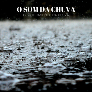 Férias No Tempo Úmido