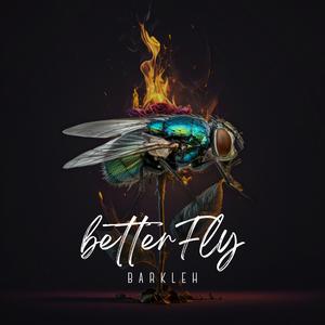 BetterFly
